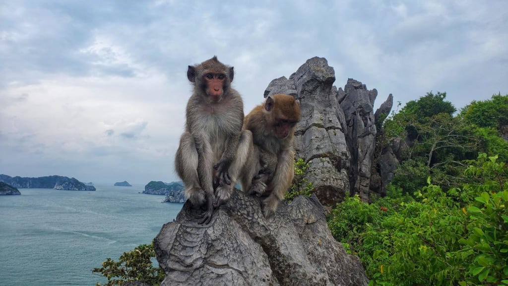 Monkey Island in Cat Ba, Lan Ha Bay