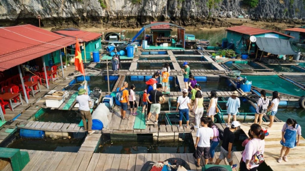 Floating village in Halong Bay