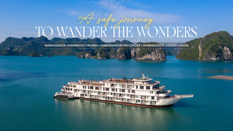 Ambassador Cruise Safety Standards