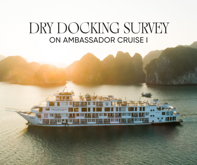 Dry Docking Survey on Ambassador Cruise I