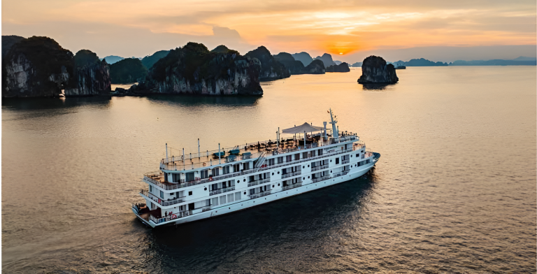What Awaits Vegan Travellers on Ambassador Signature Cruise